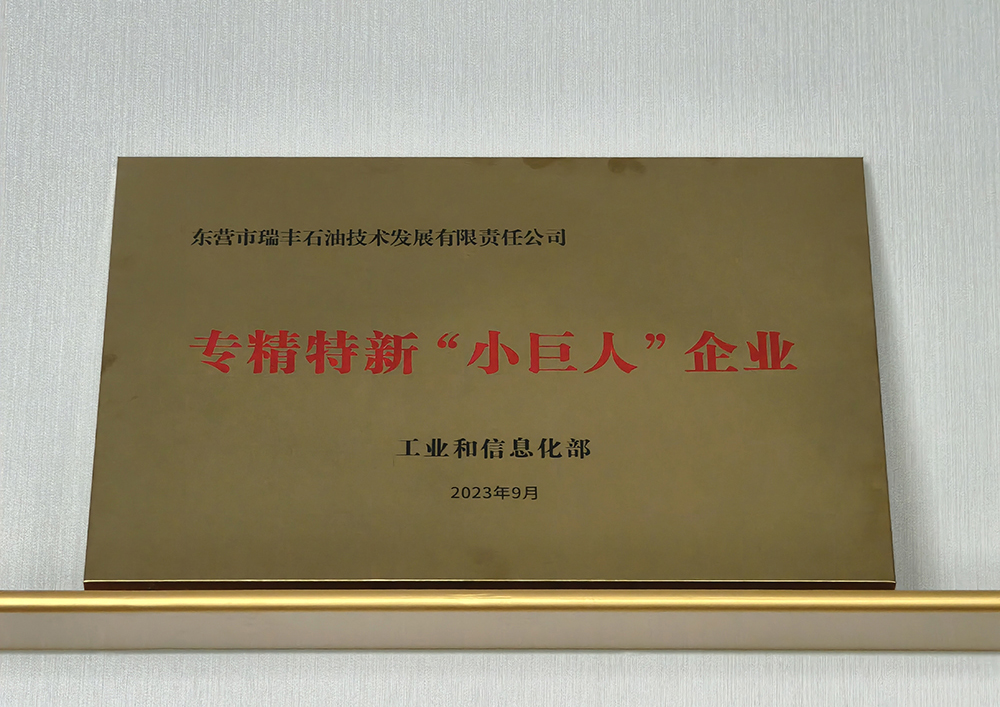 专精特新“小巨人”企业